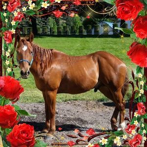 Meet your Posher, Wyatt